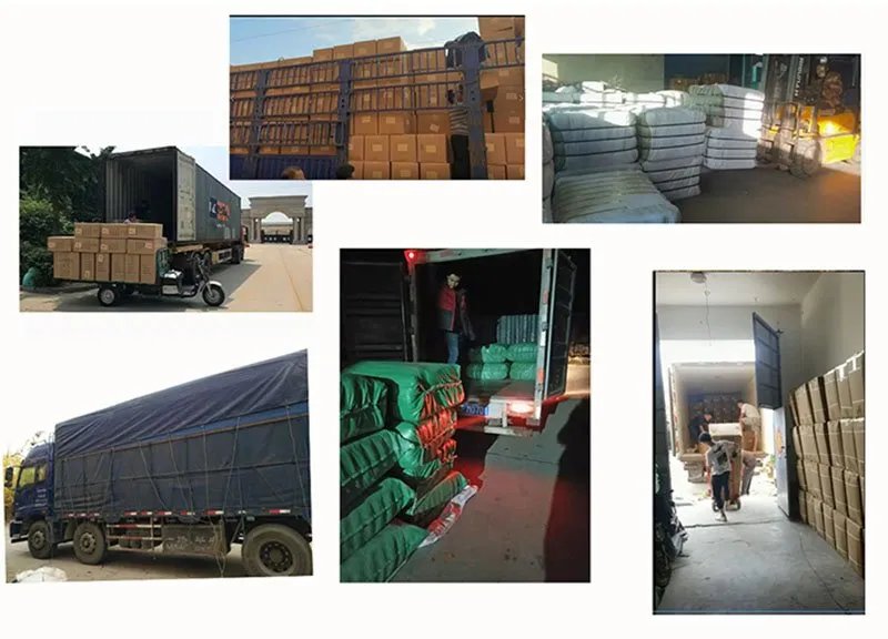 Transportation service-1